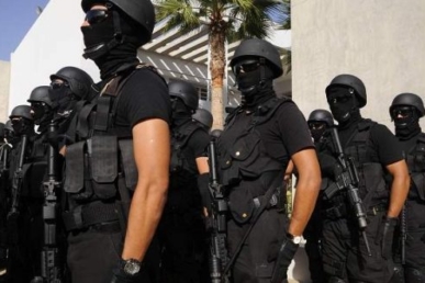 فرقة مكافحة العصابات