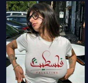 ميا خليفة وفلسطين