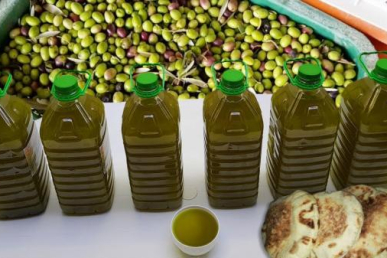 زيت الزيتون