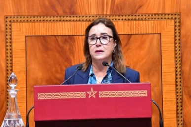 فاطمة التامني، عن فيدرالية اليسار الديمقراطي