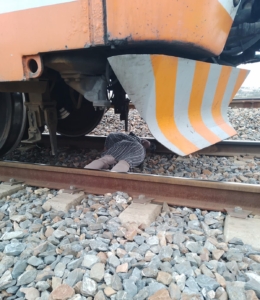 قطار يدهس ثلاثيني